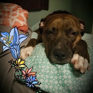 Meet your Posher, Kaytlinn